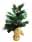 09134880: Sapin de Noël Plastique Arbre Sapin Pomme Pain Tarrington House 60cm 1pc