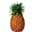 09130340: Ananas 50/60 TE A10 St Mamet