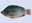 08090088: TILAPIA ECAILLE/VIDE 600/800 CHINE OU THAILANDE C X 6 KG IWP 