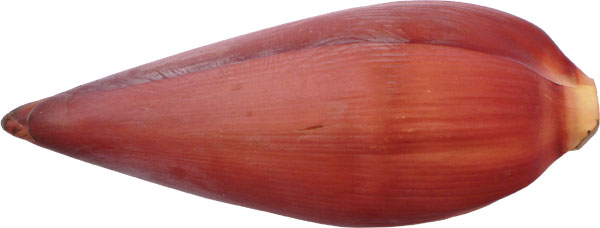 banana-flower.jpg