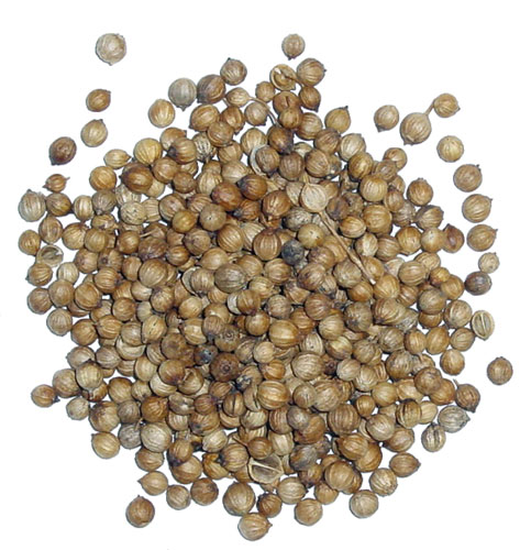 corianderseeds.jpg