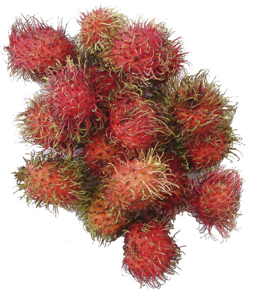 rambutan.jpg